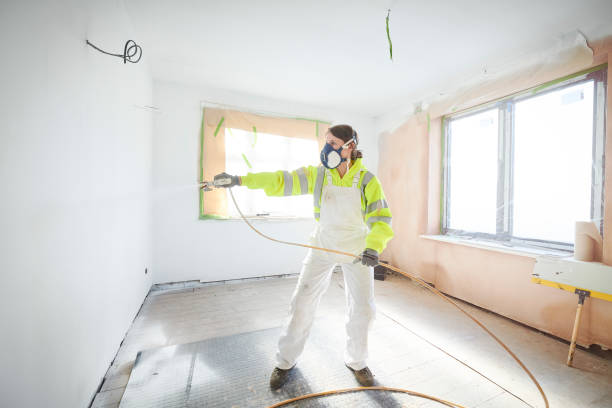 Best Emergency Mold Remediation  in White Sulphur Springs, MT