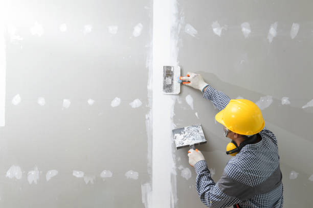 Best Forensic Mold Investigation  in White Sulphur Springs, MT